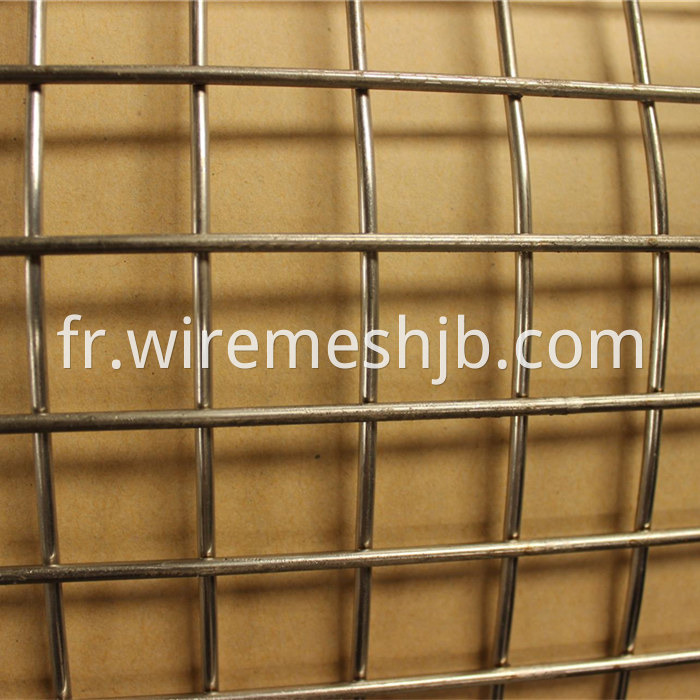 Galvanized Welded Wire Mesh